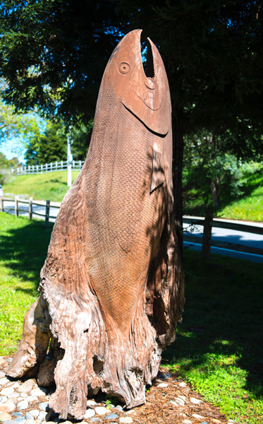 scotts valley wood fish closeup